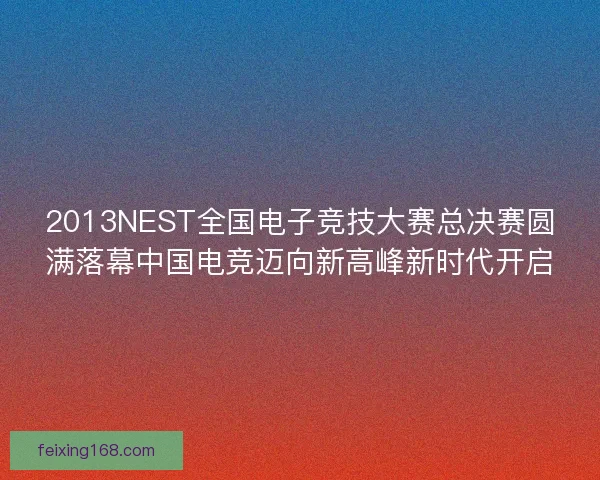 2013NEST全国电子竞技大赛总决赛圆满落幕中国电竞迈向新高峰新时代开启